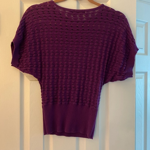 Short Sleeve Mesh Sweater Purple - Picture 3 of 3